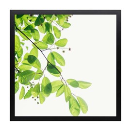 Golden State Art, 16x16 Distressed Gray Brown Wood Frame with White Mat-Displays Nine 4x4 Photos-Square Collage Frame-Tempered Glass -Wall Mounting, 3 Pack