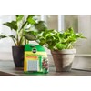 Miracle-Gro Indoor Plant Food Spikes, Includes 24 Spikes - Continuous