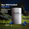 Codeage Raw Wildcrafted Irish Sea Moss Supplement, Spirulina Algae, Bladderwrack