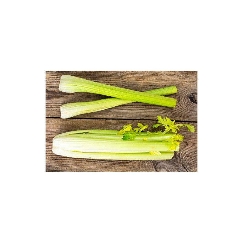 Golden Self-Blanching Celery Seeds - Heirloom