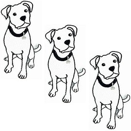 HHO Patch Set 3 Pieces. White Bull Terrier Pit Bull Dog Iron on Embroidered Patches Bulldog Puppy Pet Cartoon Motif Applique Embroidery Garment Patch Sewing on for Clothes