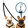 SunGrow 16-24" Adjustable Double Dog Walker Leash, Lightweight Dual Lead