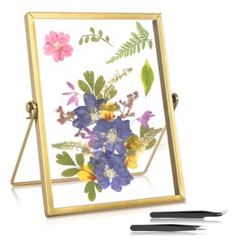 Glass Picture Frame Gold Glass Frame for Pressed Flowers with Tweezers Picture Frame Glass Double-Sided Standing Glass Frame for Home and Office Plant Sample Dried Flowers 6 Inches