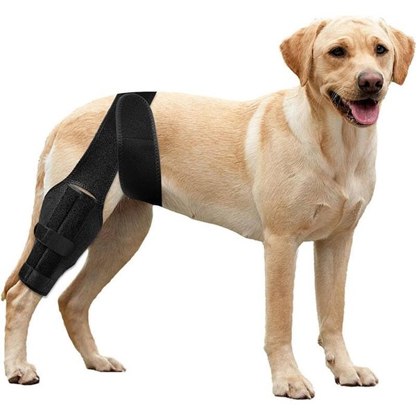 Dog Knee Brace for ACL Tear & Hind Leg Support