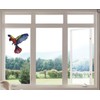 Design With Vinyl – Multicolur Flying Parrot Vinyl Stained Glass