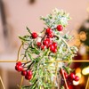 LED String Lights 2 Meters 20 LEDs Fairy Lights Battery