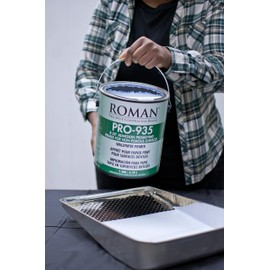 Roman 012101 PRO-935 1 gal Sealed Surfaces Adhesion Promotion Primer