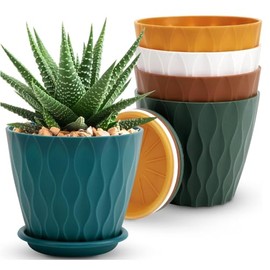 ESOHOT 6 inch Plant Pots 10 Packs Thickened House Plant Pots Indoor Outdoor Flower Pots with Drainage Holes and Saucers (Multicolor)