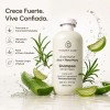 Shampoo Orgánico Artesanal Sábila Romero Verbena Kit 2pzs