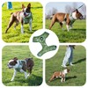 No Pull Dog Harness for Small Dogs, Breathable, Reflective &