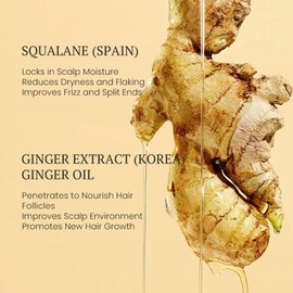 Pack of 2 Old Ginger Scalp Essence Oil, Natural Ginger Extract, Deep Care for the Scalp, Promotes Hair Growth, Reduces Hair Loss, Improves Scalp Health, For All Hair Types