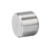 Avanty Stainless Steel 304 Forged Pipe Fitting, Socket Hex Head