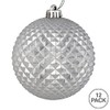 Vickerman 2.75" Silver Durian Glitter Ball Ornament. Includes 12 Ornaments