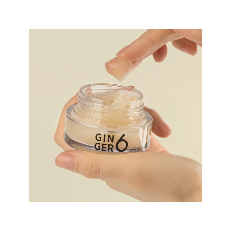 진저6 비건 액티브 워터 수분 크림 50ml Ginger6 Vegan Active