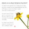 Mascarilla Redensificante KOSHER Para Rostro, Cuello y Escote. Anti-Arrugas, Nutritiva