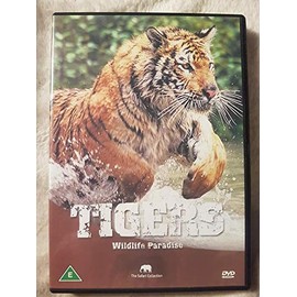 Wildlife Paradise - Tigers