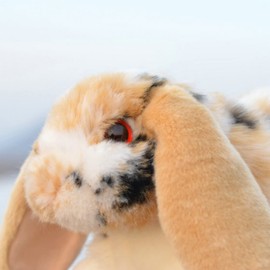 FRANKIEZHOU Rabbit Stuffed Animal Plush Bunny 10.62" Fluffy Stuffed Bunny,Gifts for Kids,Home Decor,Hug Plush