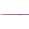 Roboworm Straight Tail Worm Bait (Morning Dawn Chartreuse, 6-Inch)