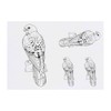 4 x 'Perched Kestrel' Temporary Tattoos - Water Resistant, Skin-Safe,