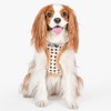 Puppia Jace Dog Harness Over-The-Head Warm Winter Diamond Pattern Adjustable