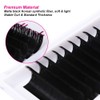 Eyelash Extensions Mega Volume Lashes C Curl Self Fanning Lashes