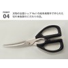 Cutting Edge To Keep The Float It Kitchen Scissors