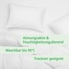 Mite Protection Pillow Case 50 x 70 cm | Encasing