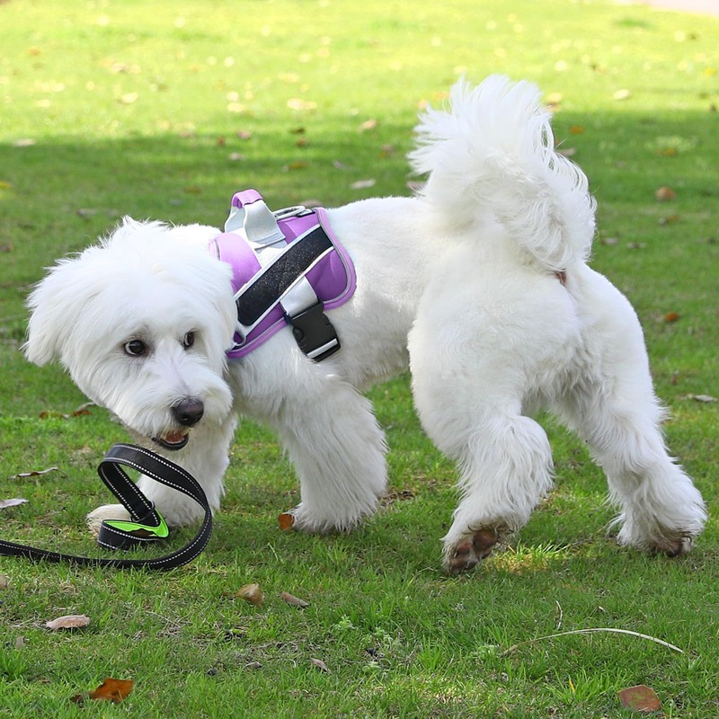 Bolux Dog Harness, No-Pull Reflective Dog Vest, Breathable Adjustable Pet