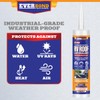 Everbond RV Roof Lap Sealant - Ultimate Roof & Leak