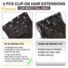 QUEENTAS 4 Pcs Long Straight Dark Brown Clip in Hair