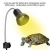 25W Reptile Heat Bulb Clamp Light Set 360 Degree Rotation