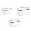 3pcs Drain Storage Basket Box Transparent Leakproof Food Storage Containers
