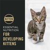 Purina Pro Plan Kitten Dry Food Complete Essentials Shredded Blend