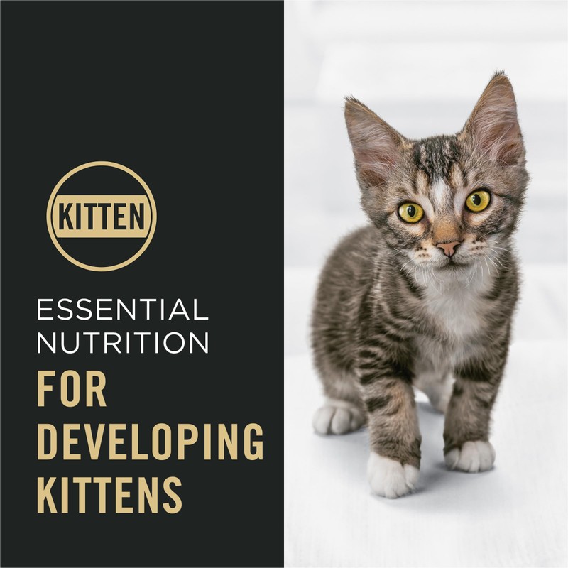 Purina Pro Plan Kitten Dry Food Complete Essentials Shredded Blend