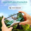 Smart Bird Feeder with Camera, Ai Identify Birds Watching Camera