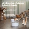 PetSafe Outlast Cat Fountain - Encourages Healthy Hydration - Pump-Free