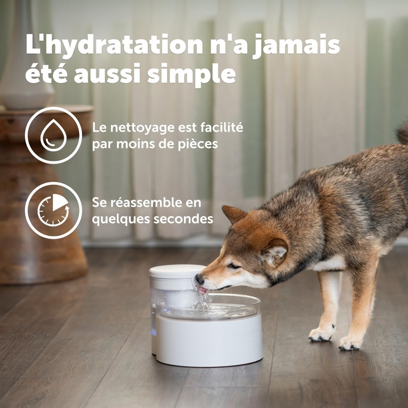PetSafe Outlast Cat Fountain - Encourages Healthy Hydration - Pump-Free