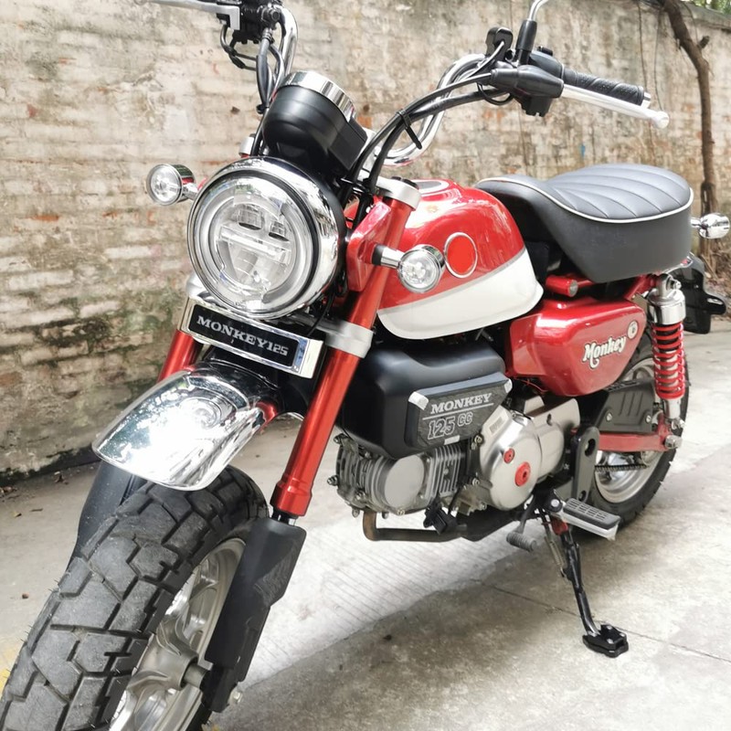 MONKEY 125 LOGO LED Light for Honda Monkey 125 Monkey