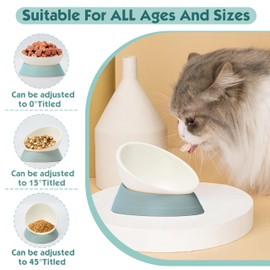French Bulldog Food Bowl- Slanted Tilted Pug Food Water Bowl,Cat Bowl- Feeder for Frenchie/Shih Tzu/Flat Faced Small Dogs/Puppies/Cats (Green, 4 Cup)