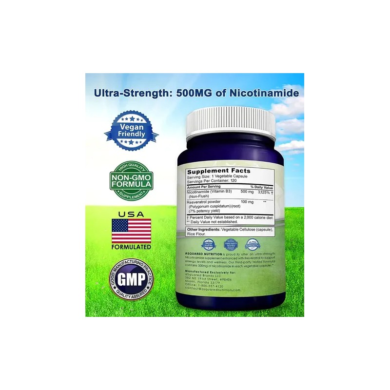 Nicotinamida 500 Resveratrol Precursor Nad Gmp