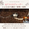 chill coffee Geisha Honey Costa Rica Premium Grade SHB Coffee