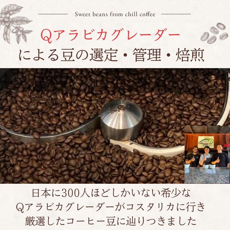 chill coffee Geisha Honey Costa Rica Premium Grade SHB Coffee