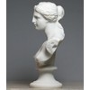 Bust Head Goddess Aphrodite of Milos Venus Alabaster Statue Sculpture