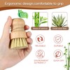 Bamboo Pack of 2 Mushroom Brush, Mushroom Brush, Dish Brush,