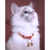 HEJINYUN 3 Pack Extra Loud Cat Bells for Collars |
