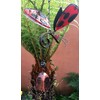 Ladybird Wing Butterfly Sun Catcher Wind Chime - Hanging Home