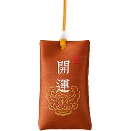 Buddhist Spiritual Salt Pouch Necklace, Spiritual Salt with Sachet, for Money, Happiness, Chinese Amulet Sea Salts Blessed (Just a lucky bag, no salt)