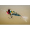 Rebel Lures P6503 Lures Magnum Pop R Fishing Lure (3-Inch,
