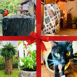 Bushy Box 🎁 Woodland Farmhouse Country Stump - Dozens of Uses. Creative and Unique Indoor / Outdoor Gift Idea.