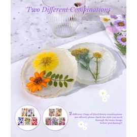 Gugxiom Flores Prensadas Secas para Resina, 5 Bolsas de 100 Piezas de Flores Prensadas, 5 Temas de Colores, Flores Secas para Arte de Uñas, Resina, Diseño de Joyería de (Tipo 1)